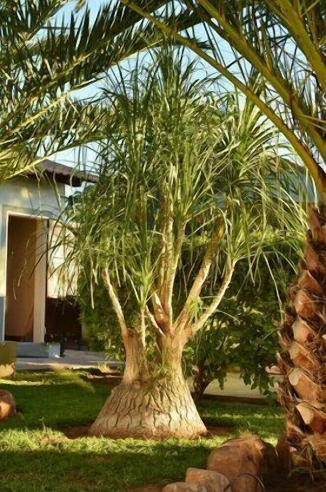 Фото Kamaku Guesthouse