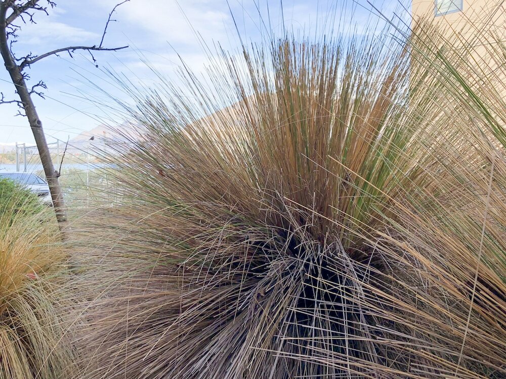 Фото Amazing Queenstown Guesthouse