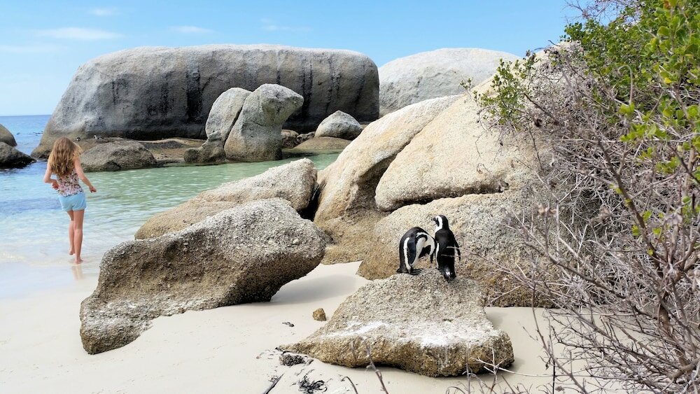 Фото Hout Bay Beach Cottage