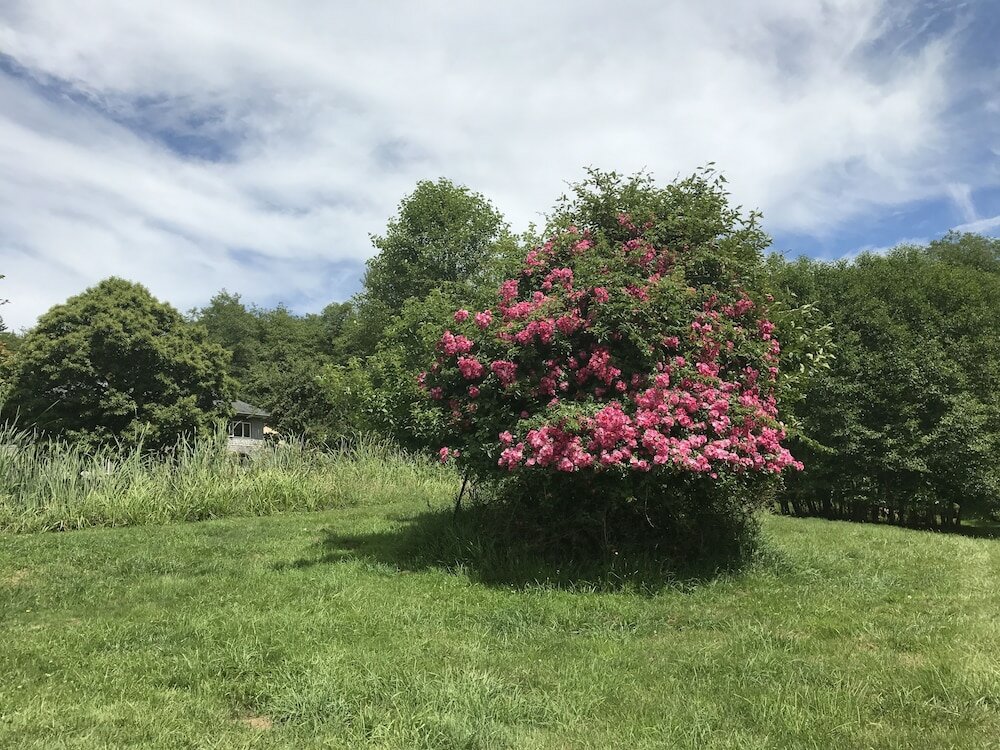 Фото Lucky Mud Inn and Disc Golf Resort