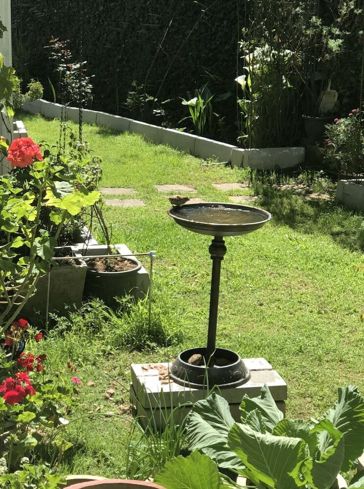 Фото Medalin Cottage