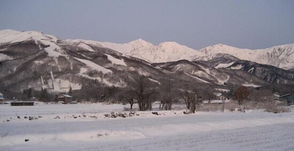 Фото Pension Marionette