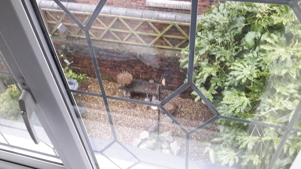 Фото The School House