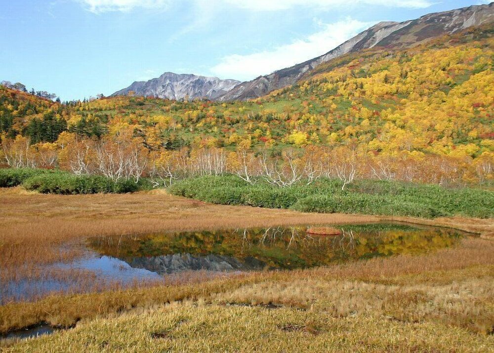 Фото Pension Marionette