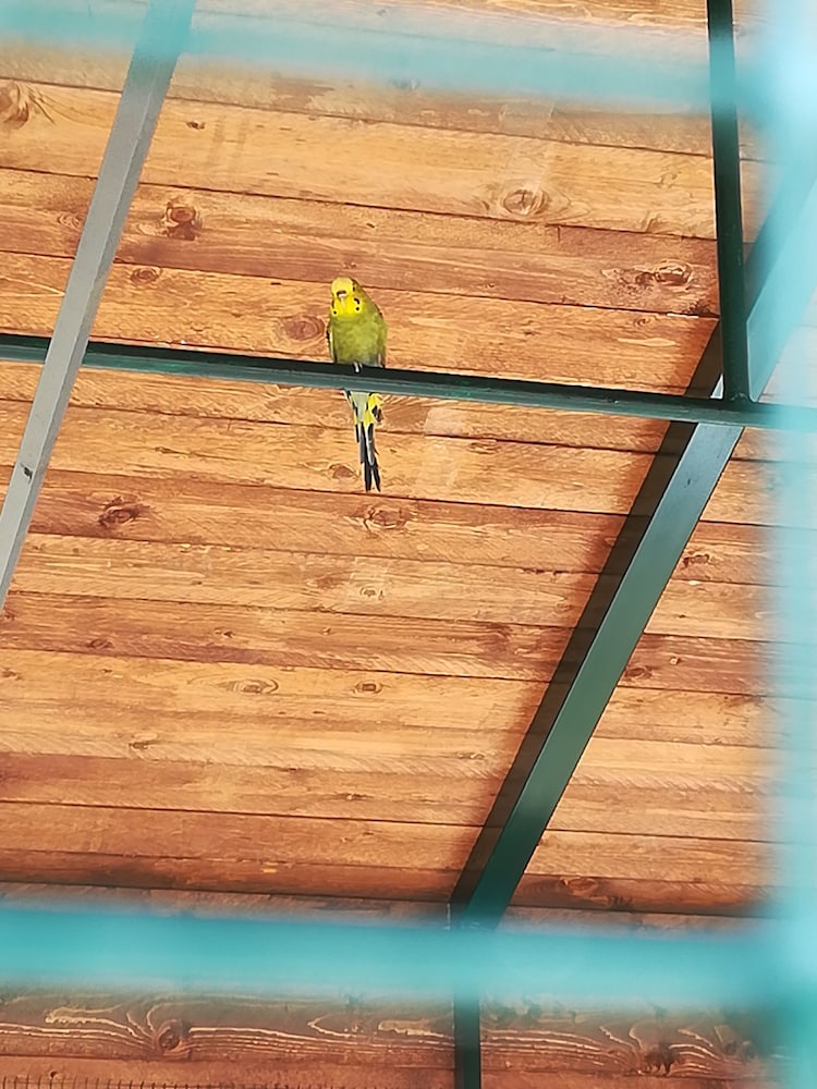 Фото Agriturismo Fieri