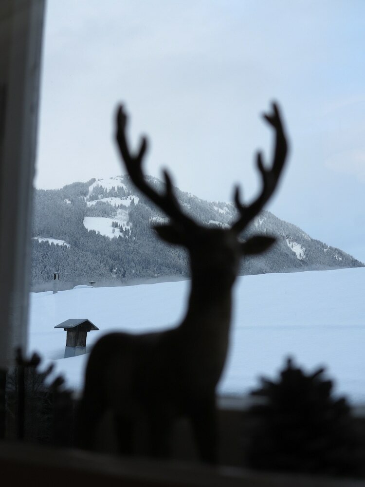 Фото Kitzbühel Apartments Haus Brugger