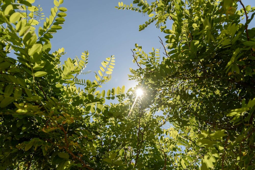 Фото Myconian Platinum Villas