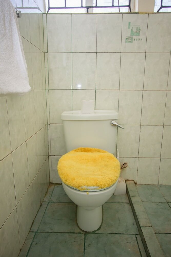 Фото Ivys Inn Guest House