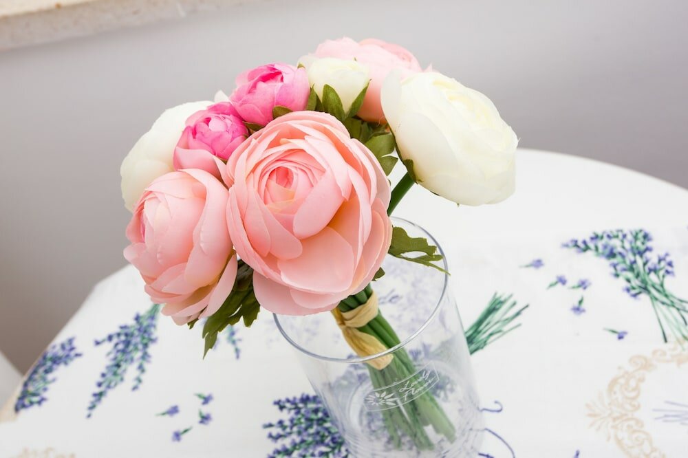 Фото Guest House Cuk