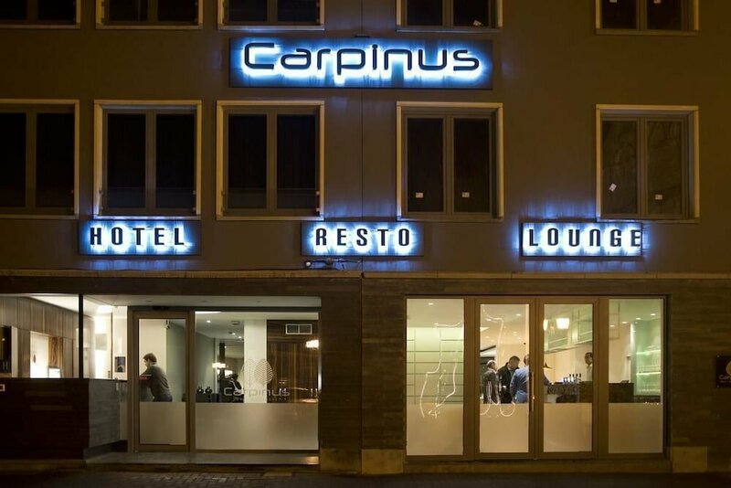 Гостиница Hotel Carpinus