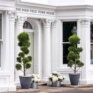 Гостиница The High Field Town House