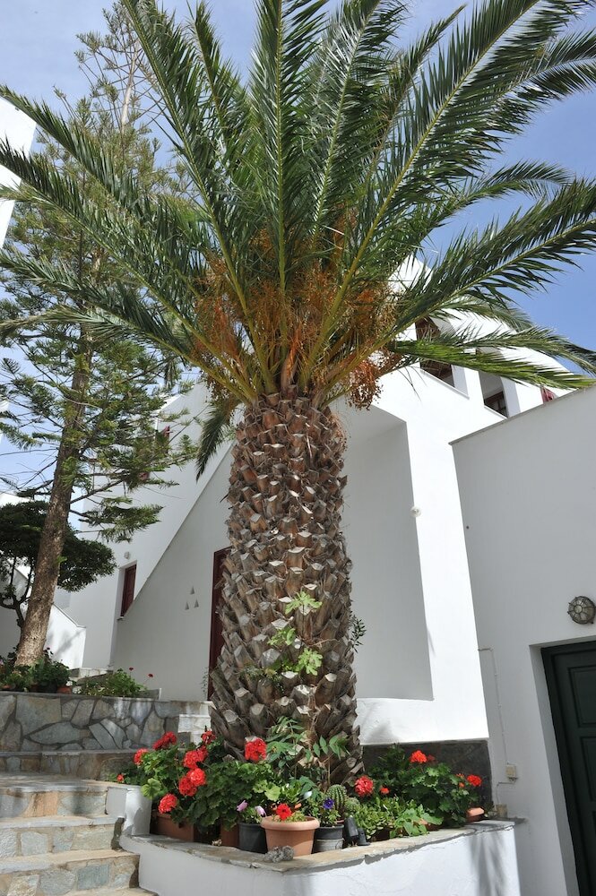 Фото Rallis Apartments