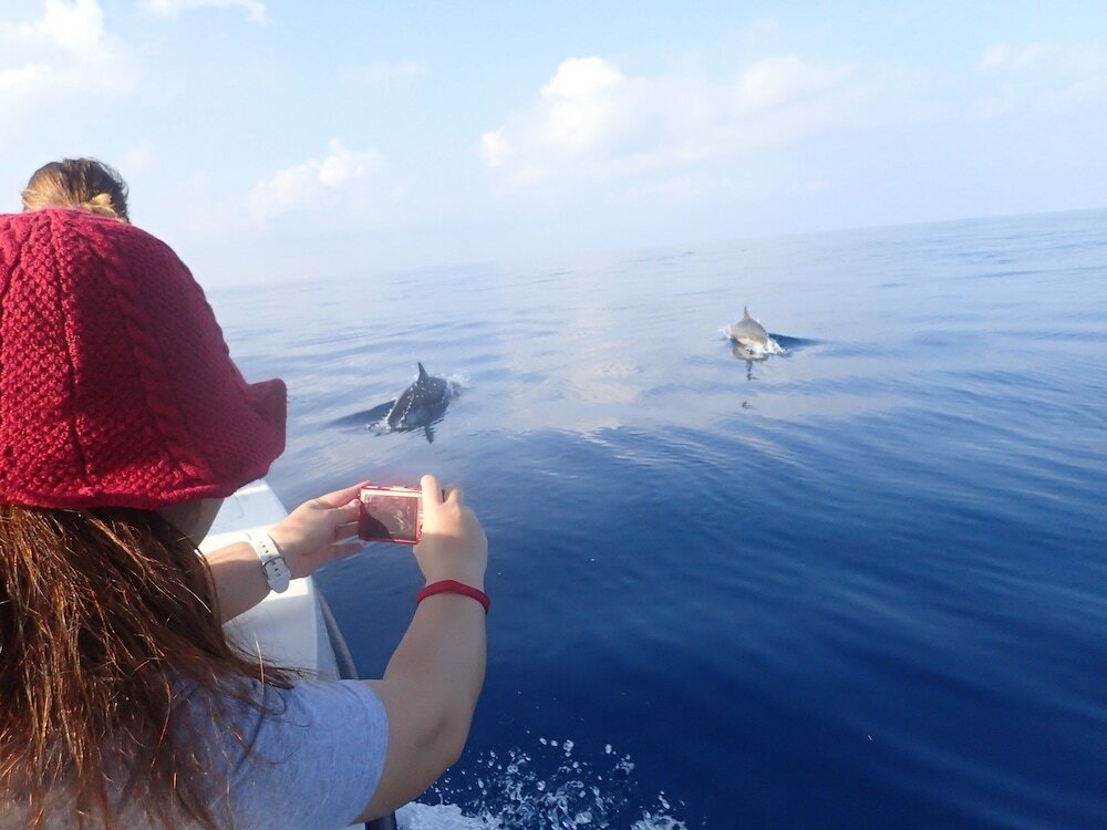 Фото SeaLaVie Inn