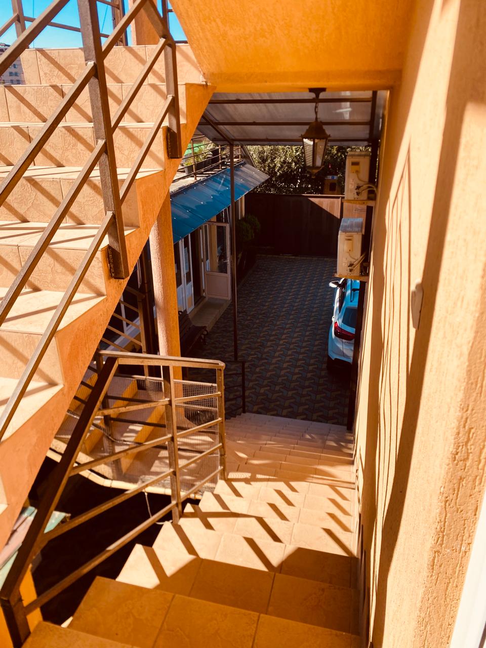 Фото Аврора