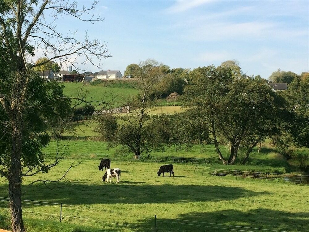 Фото Ashbrook House B&b