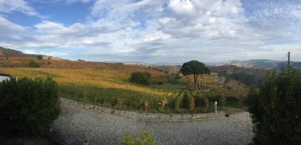 Фото Quinta dos Espinheiros