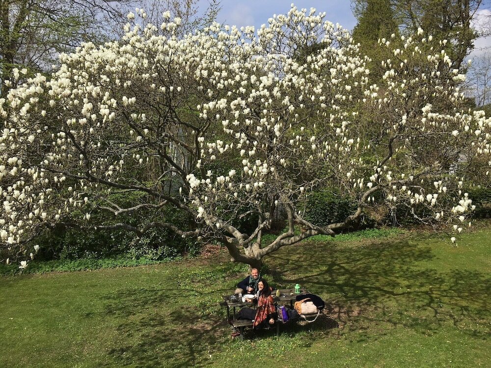 Фото Fredensborg Vandrerhjem - Hostel