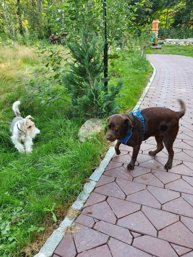 Фото Wellness Resort Romantika