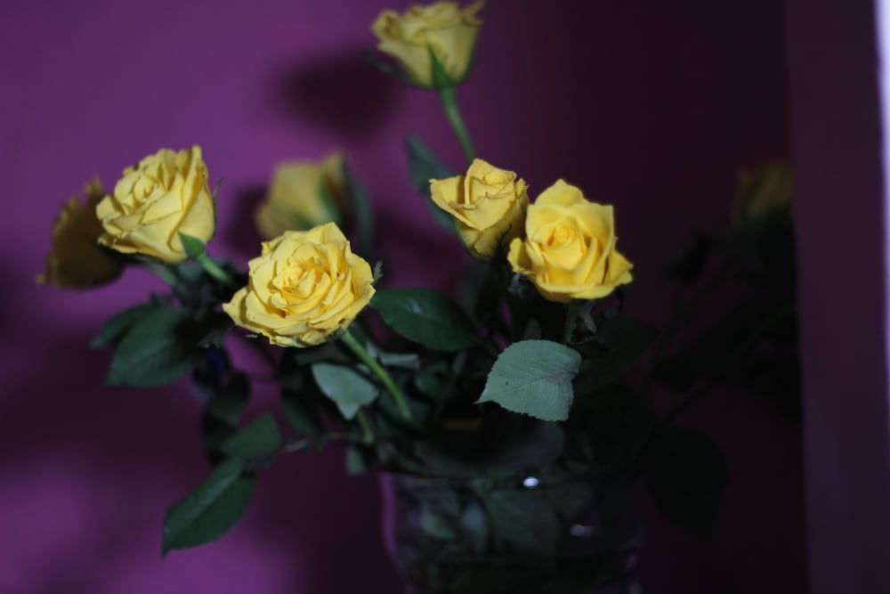 Фото Hotel Carlton