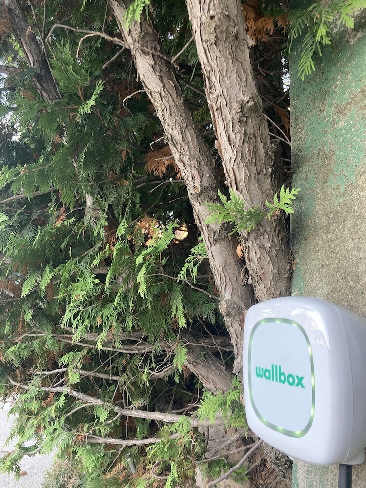 Фото Hotel del Prado