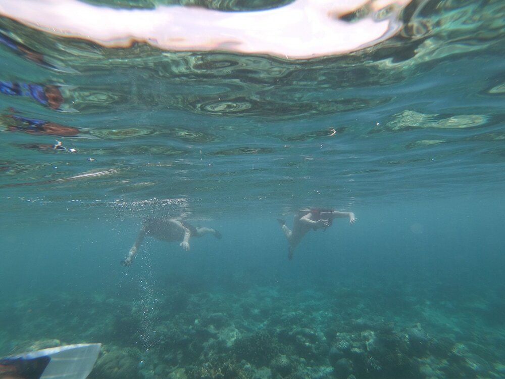 Фото Sevinex Inn