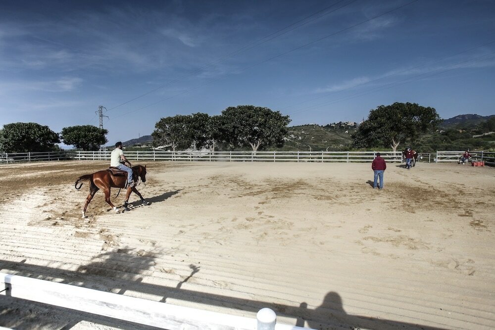 Фото Hotel Il Parco degli Ulivi