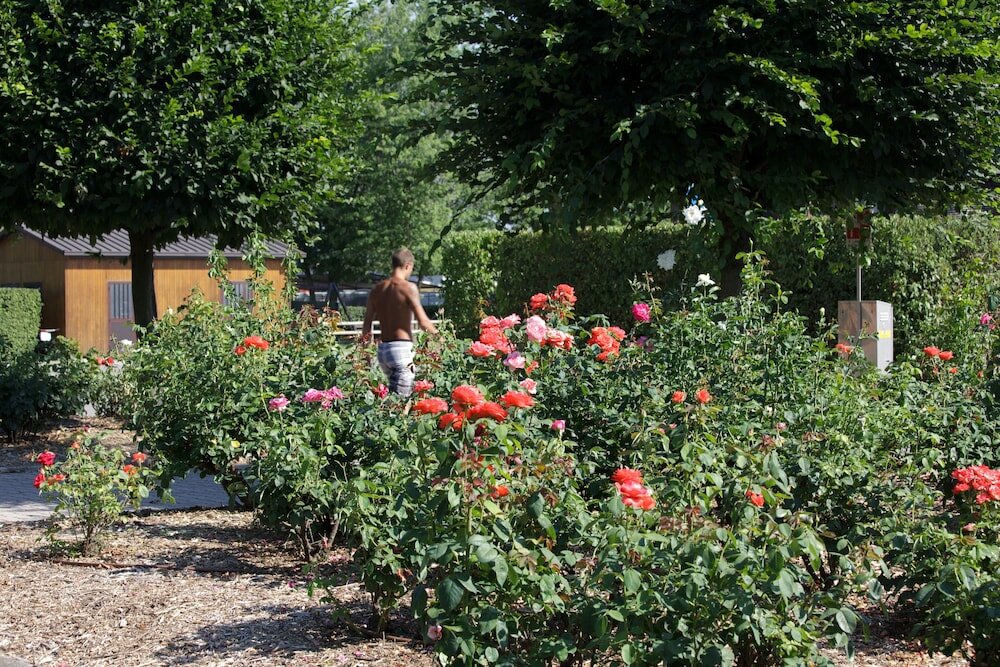 Фото Centro Turistico Città di Bologna