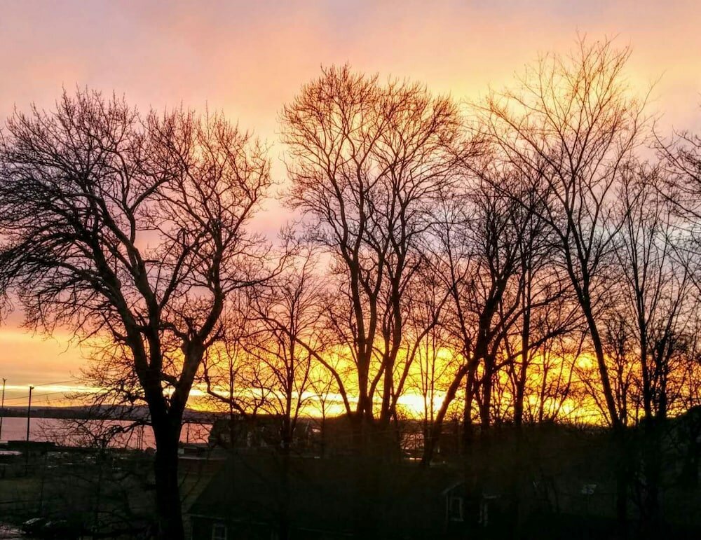 Фото Braeside Country Inn