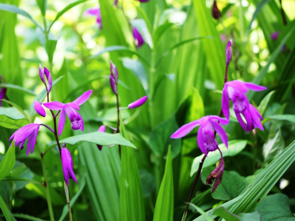 Фото Pension Morinokaze