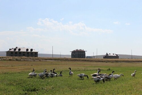 Гостиница Lake Cildir Lodge в Чилдыре