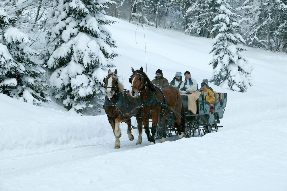 Фото Ferienwohnungen am Buchbrunnen