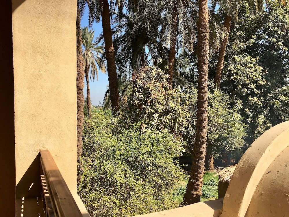 Фото Djorff Palace