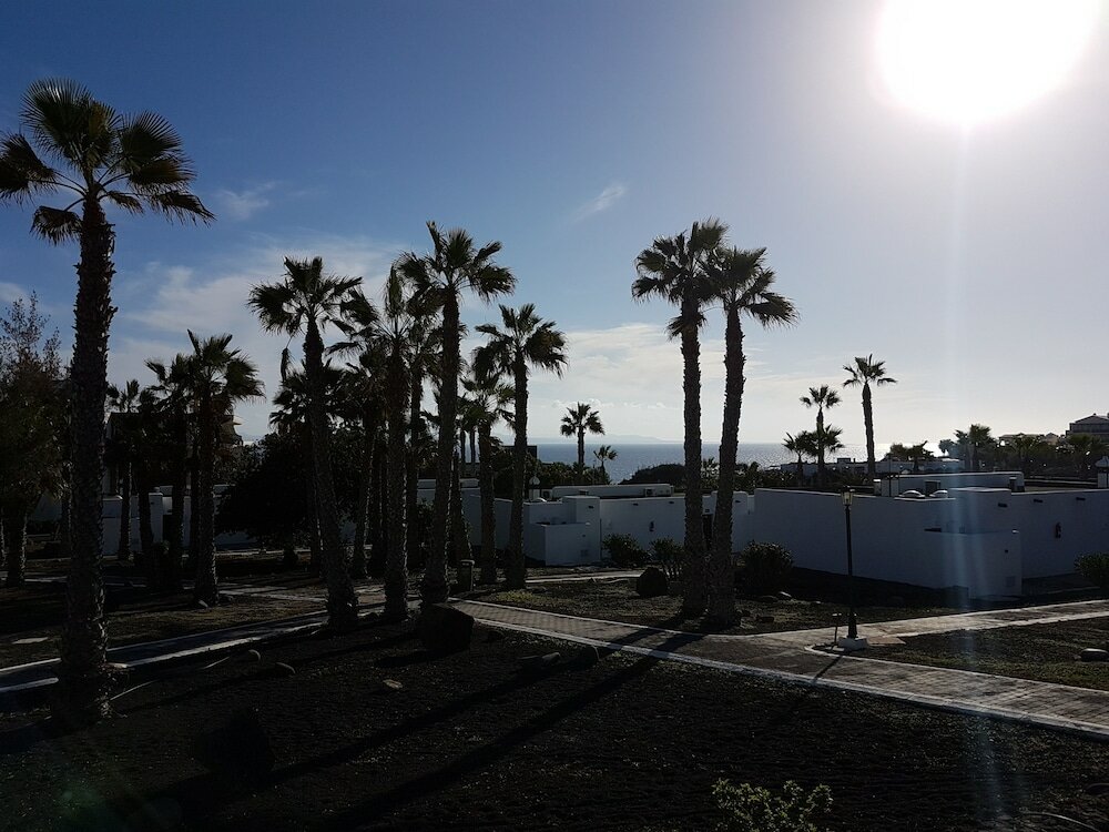 Фото Palmeras Garden