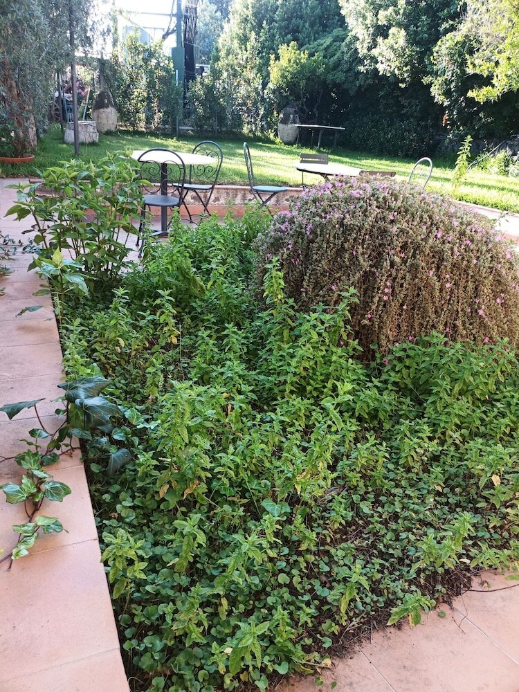 Фото Villa Aresco