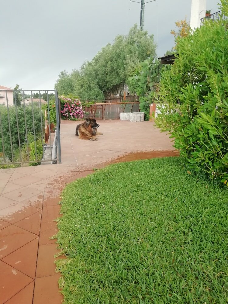 Фото Villa Aresco