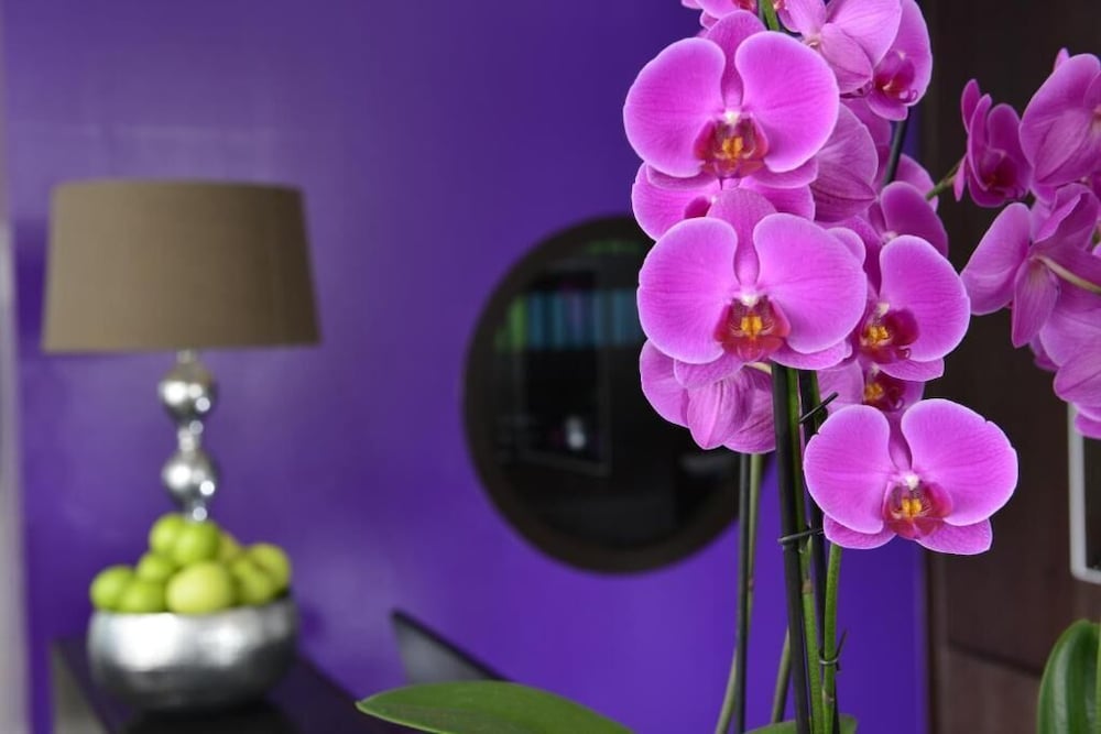 Фото Hotel friends Hückelhoven