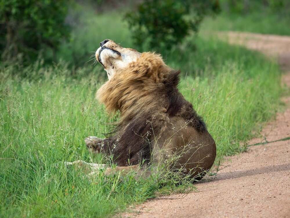 Фото 158997887249