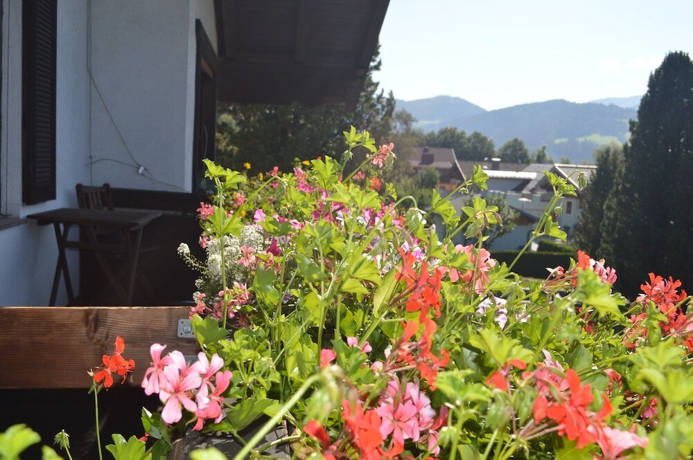 Фото Haus Susanne