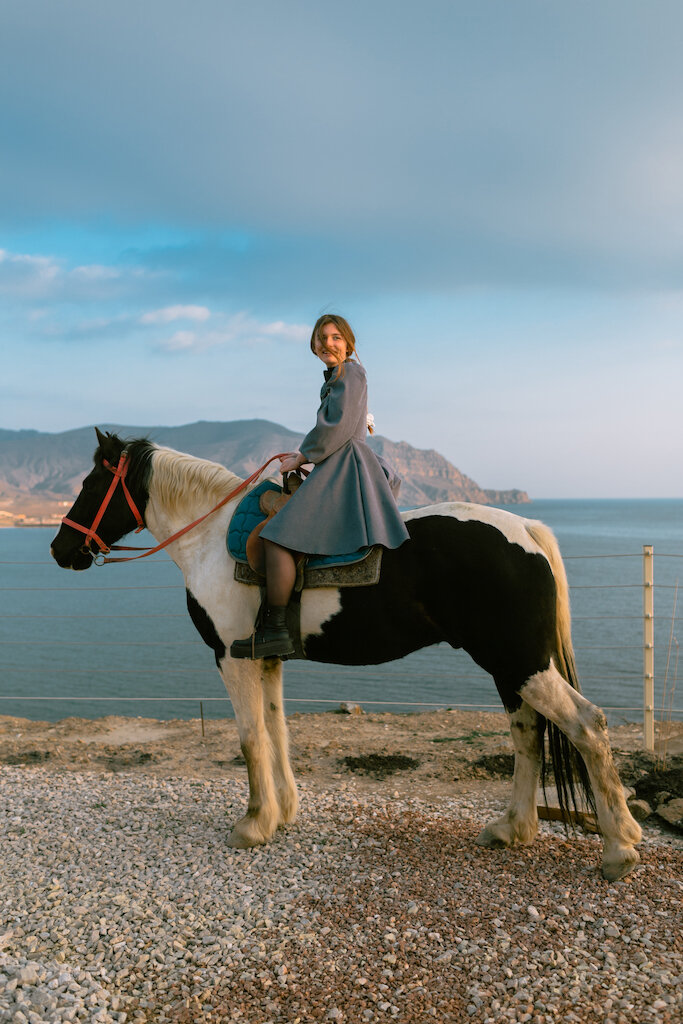 Фото Слон в удаве