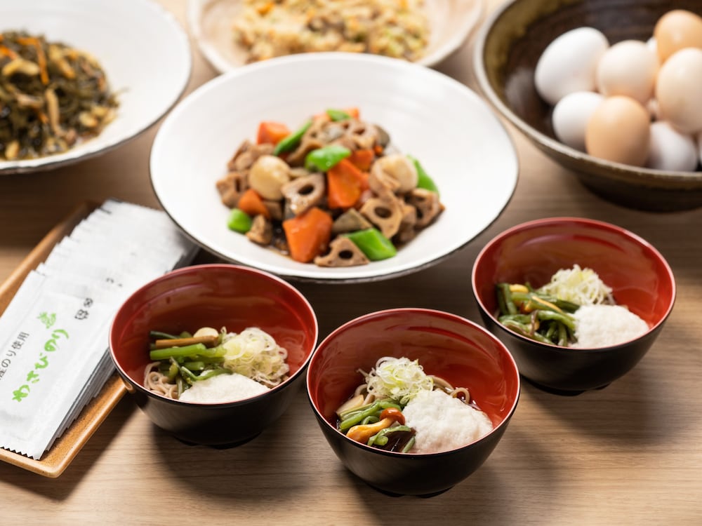 Фото Sotetsu Fresa Inn Nagano-Ueda