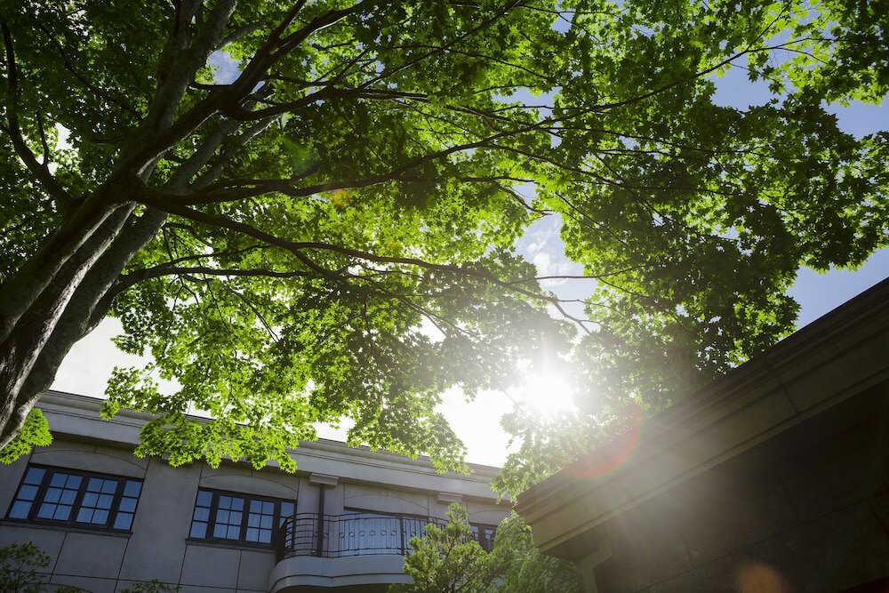 Фото Kyukaruizawa Kikyo, Curio Collection by Hilton