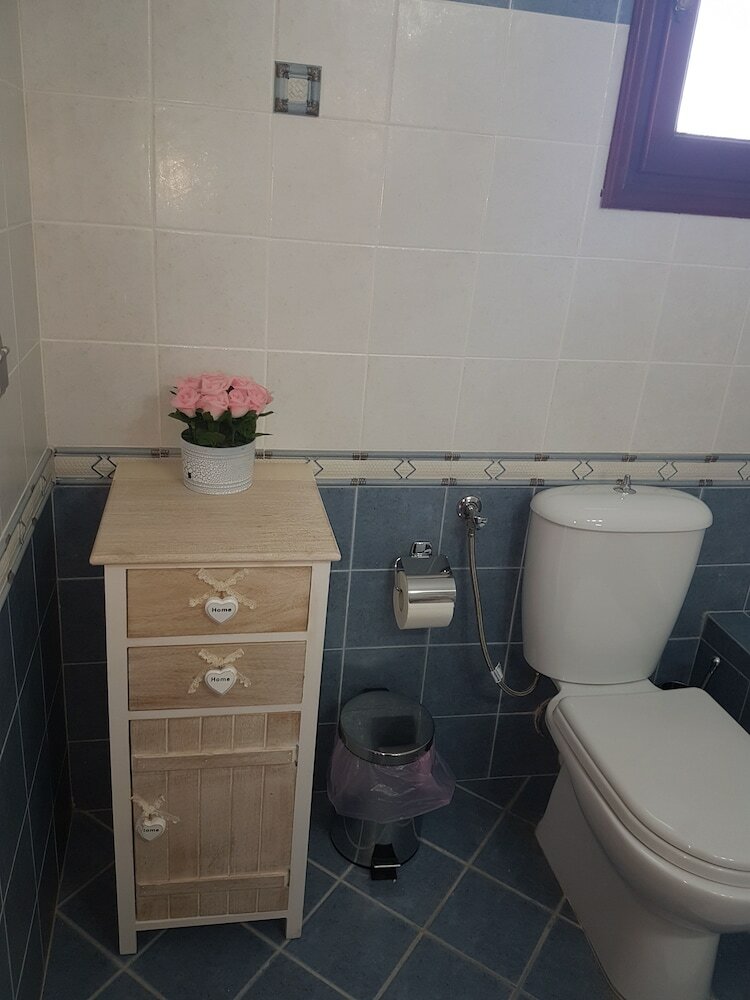 Фото Santorini Family Apartments