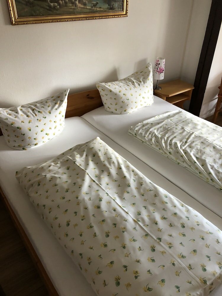 Фото Tutzinger Hof