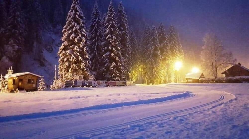 Фото Pension Haus Rohrmoser