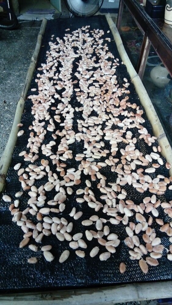 Фото Beta Life Eco Proyecto Hostel