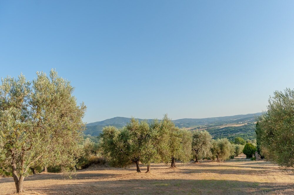 Фото Agriturismo Vocabolo Poggio del Pero