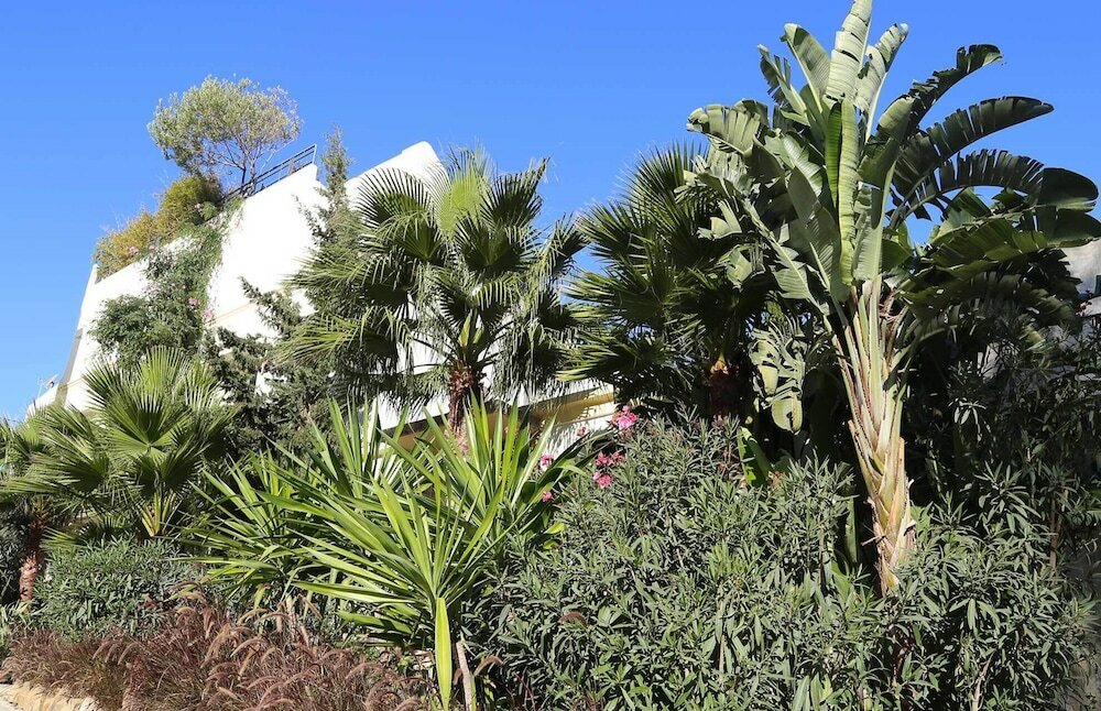 Фото La Maison de Tanger