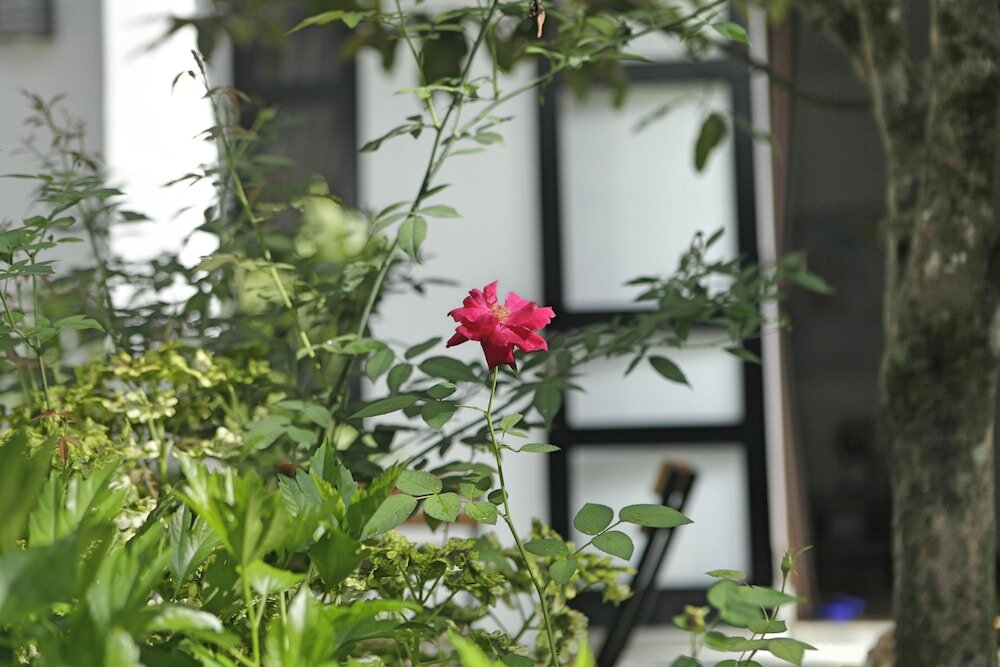 Фото Khanh's Home