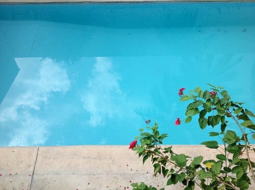 Фото Chata Hosteria