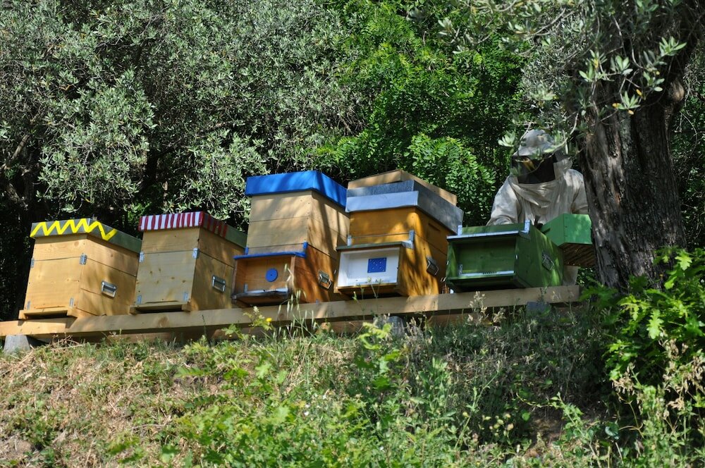 Фото Podere La Piana